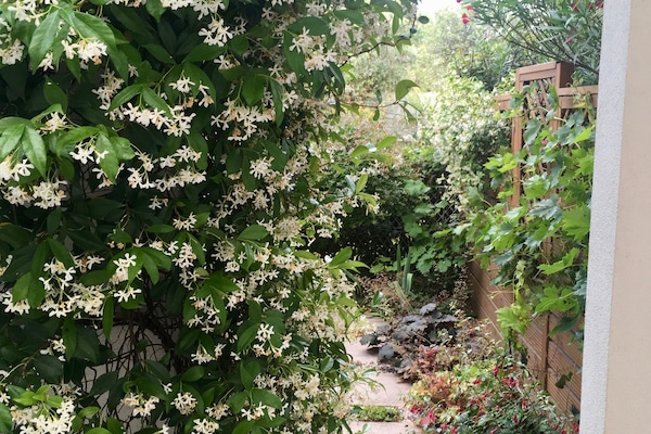 Passage dans le jardin depuis la cuisine