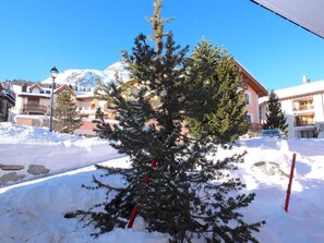 Surrounded by snow-covered evergreen trees, this serene winter scene offers a peaceful escape.