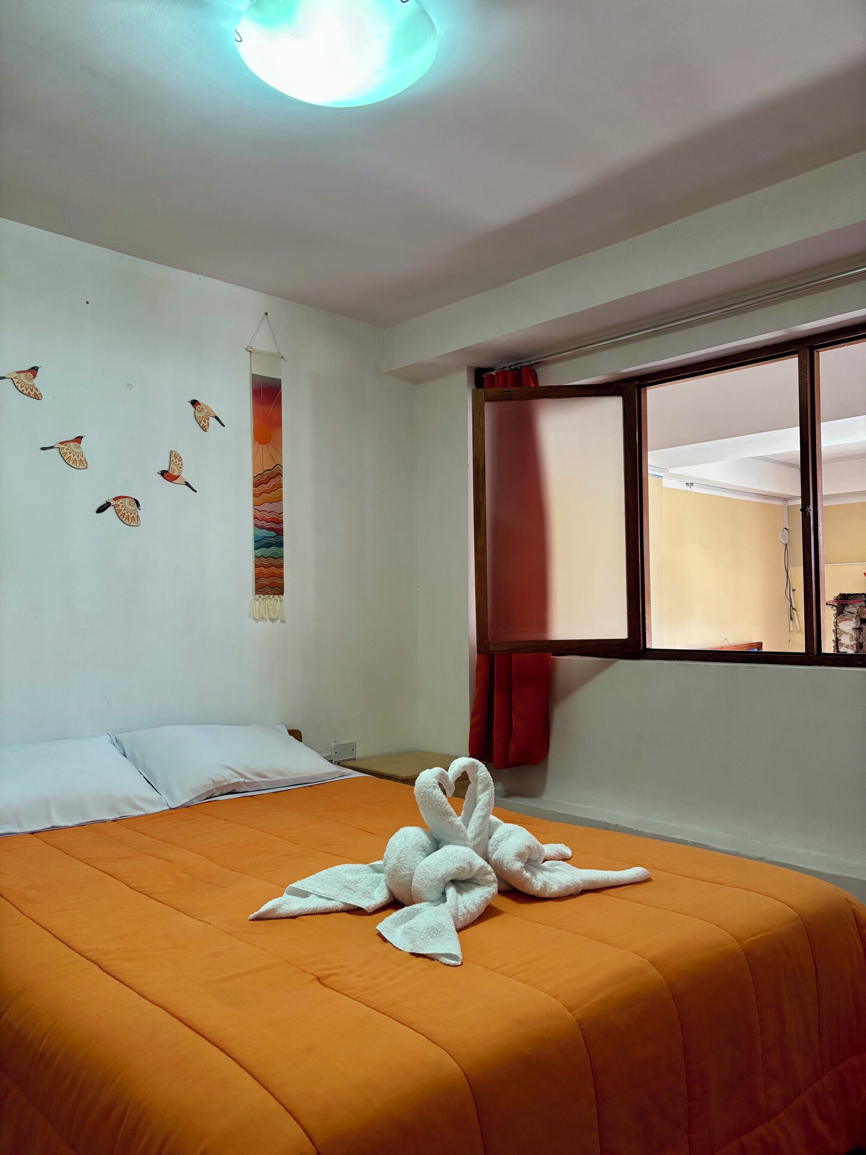 Foto - Big Vacation Hostel