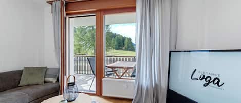 TV, video library, stereo