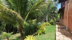 A garden with palm trees and a brick pathway leading to a building.