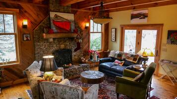 TV connectée, cheminée, lecteur de DVD, livres