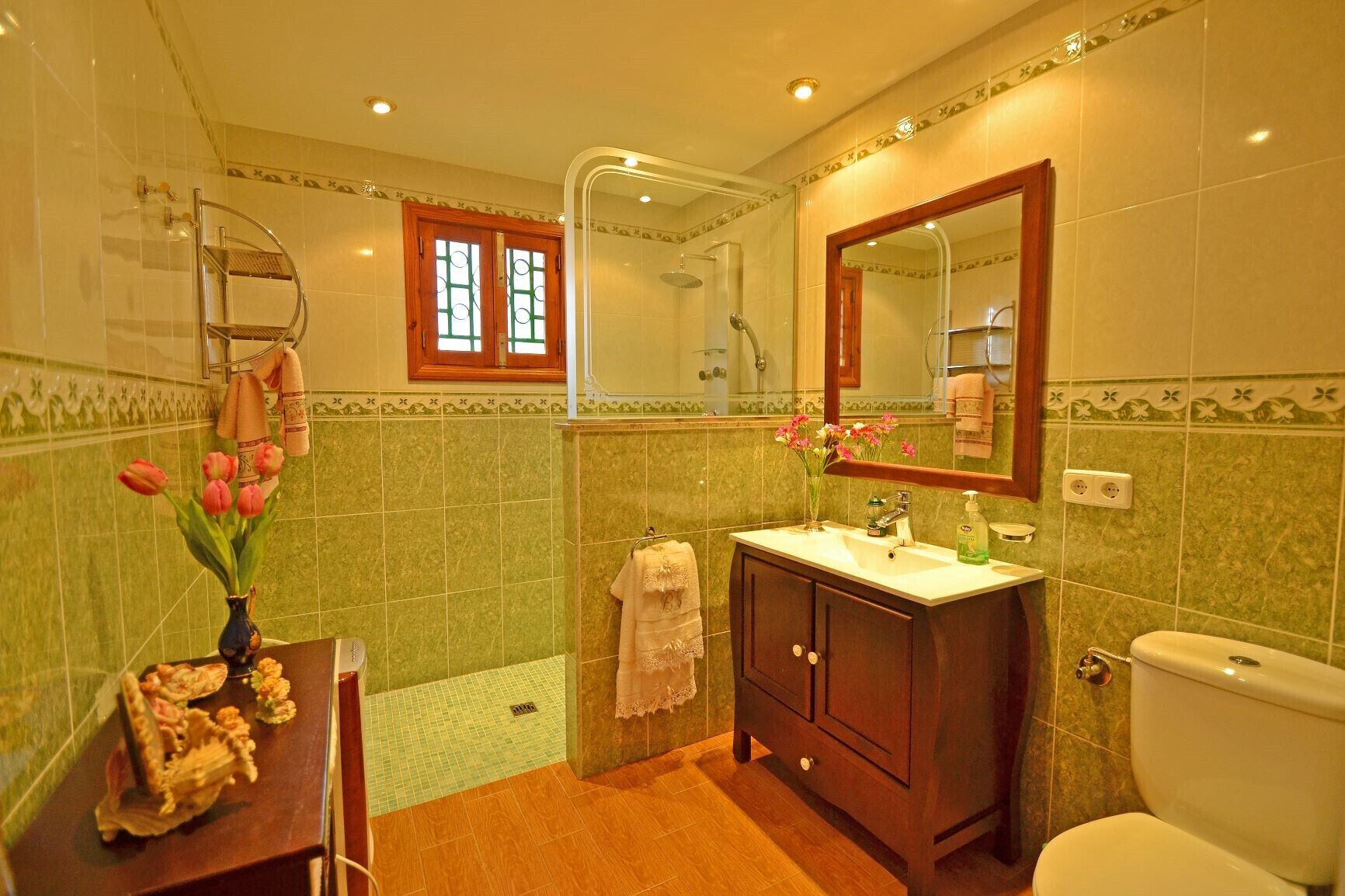 Shower, hair dryer, towels