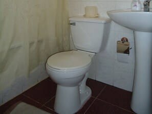 Shower, free toiletries, hair dryer