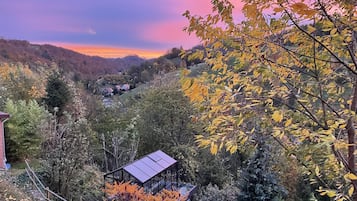 Ulkoalueet