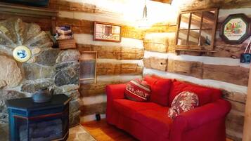 TV, fireplace, DVD player, books