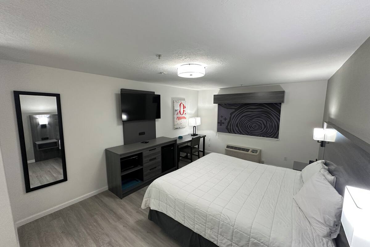 A hotel room with a bed, a TV, a desk, a chair, a mirror, and a wall-mounted heater.