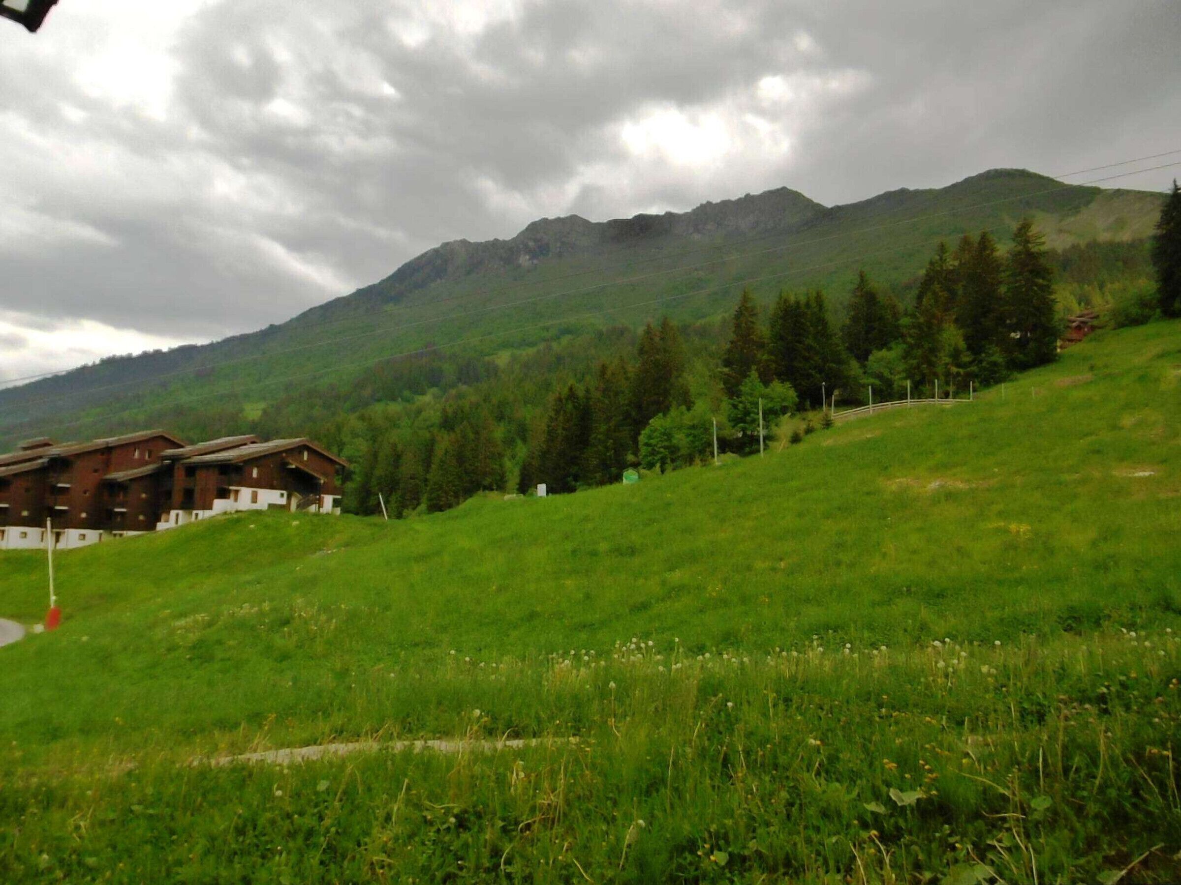 Un albergue de montaña con varias cabañas de madera, rodeado de campos verdes exuberantes y un bosque denso.