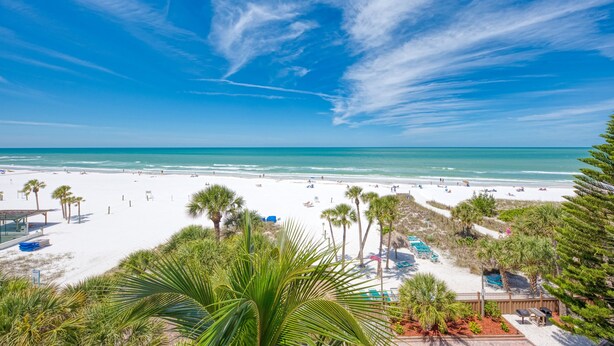 A beach with white sand, palm trees, and a clear blue sky. - Spacious beachfront Penthouse 3 bed/3 bath suite, Stunning Gulf views! (Siesta Key)