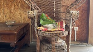 A wicker chair with a woven backrest and seat, placed on a tiled floor. A small table with a bowl and a cloth is to the left. - Villa Familiale 8p Piscine Sécurisée & Jardin PMR (Le Gosier)