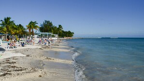 A beach with palm trees, sun loungers, and umbrellas. - Exclusive Key West Beach Front - 2BR Luxury Condo w/Gym and Pool Access (Newly Refurnished!) (Key West)