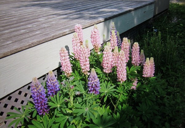 Property grounds - Great Getaway with Lots of Comfort and Charm! (Sturgeon Bay)