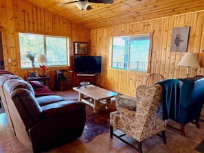 TV, DVD player, video library