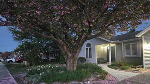A residential house with a large tree in the front yard, a driveway, and a well-maintained garden. - Home in Mechanicsburg, PA close to  Carlisle, Camp Hill, Enola, Harrisburg area (Mechanicsburg)