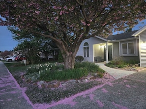 A residential house with a large tree in the front yard, a driveway, and a well-maintained garden.