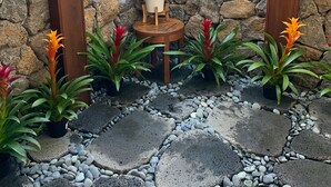 Un muro de piedra con una puerta de madera, una pequeña mesa de madera con una planta en maceta, y diversas plantas en macetas alrededor.