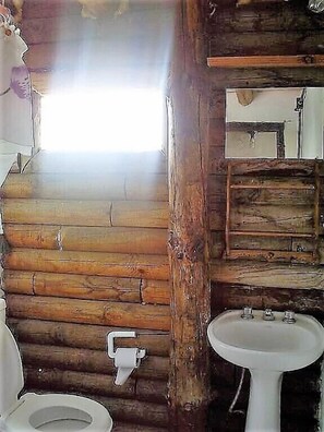 Chambre Triple, 1 chambre, vue lac (1 Double & 1 Bunk Bed) | Salle de bain | Douche
