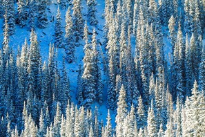 Uklassifisert bilde, 4 av 33, knapp