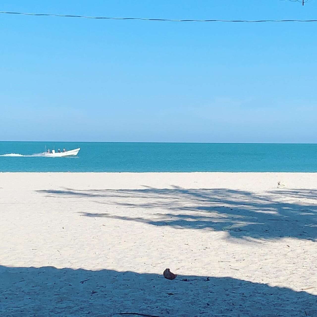 شاطئ