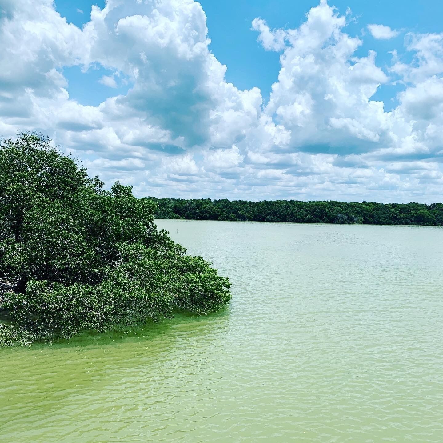 A calm lake with dense green foliage on the left and a clear sky with clouds.