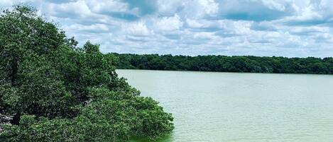 A calm lake with dense green foliage on the left and a clear sky with clouds.