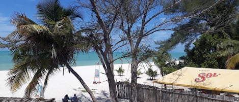 A beach with palm trees, a wooden fence, and a yellow umbrella with 'Cerveza Soto' written on it.