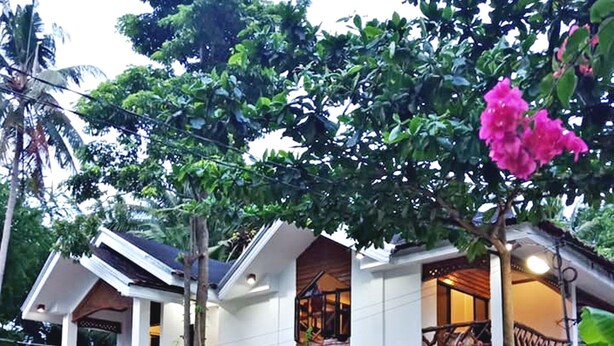 A two-story house with a wooden staircase, surrounded by lush greenery and a palm tree. - Bruce Beach Resort (San Juan)