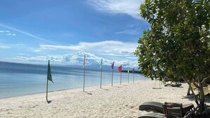 A beach with sand, a row of flags, and a tree. - Bruce Beach Resort (San Juan)