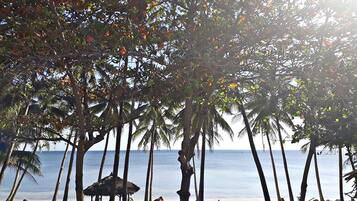 On the beach, scuba diving, kayaking