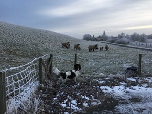 Unclassified image, 4 of 26, button