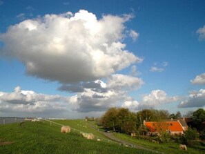 Image sans description, 3 de 26, bouton