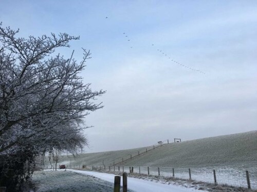 Ferienhaushälfte Fischerkate am Deich, 45069 - Ferienhaushälfte Fischerkate am