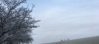 Vacation home Fischerkate am Deich, 45069 - Holiday home Fischerkate am Deich, 45069