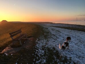 Image sans description, 5 de 26, bouton