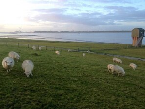 Unclassified image, 2 of 26, button