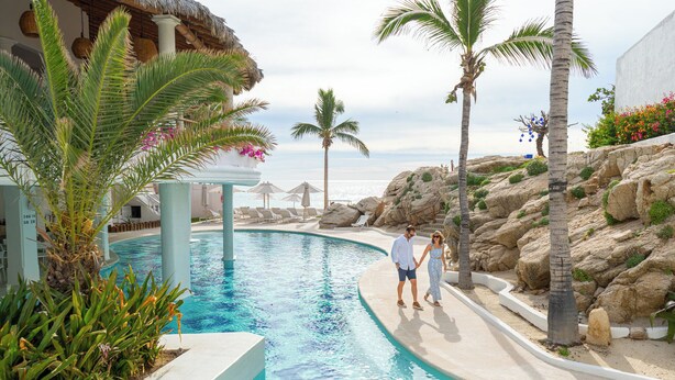A swimming pool with a curved edge, surrounded by palm trees and rocks.