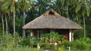 A thatched-roof hut with a pathway leading to it, surrounded by lush greenery and palm trees. - Budi Sun Resort (Maumere)