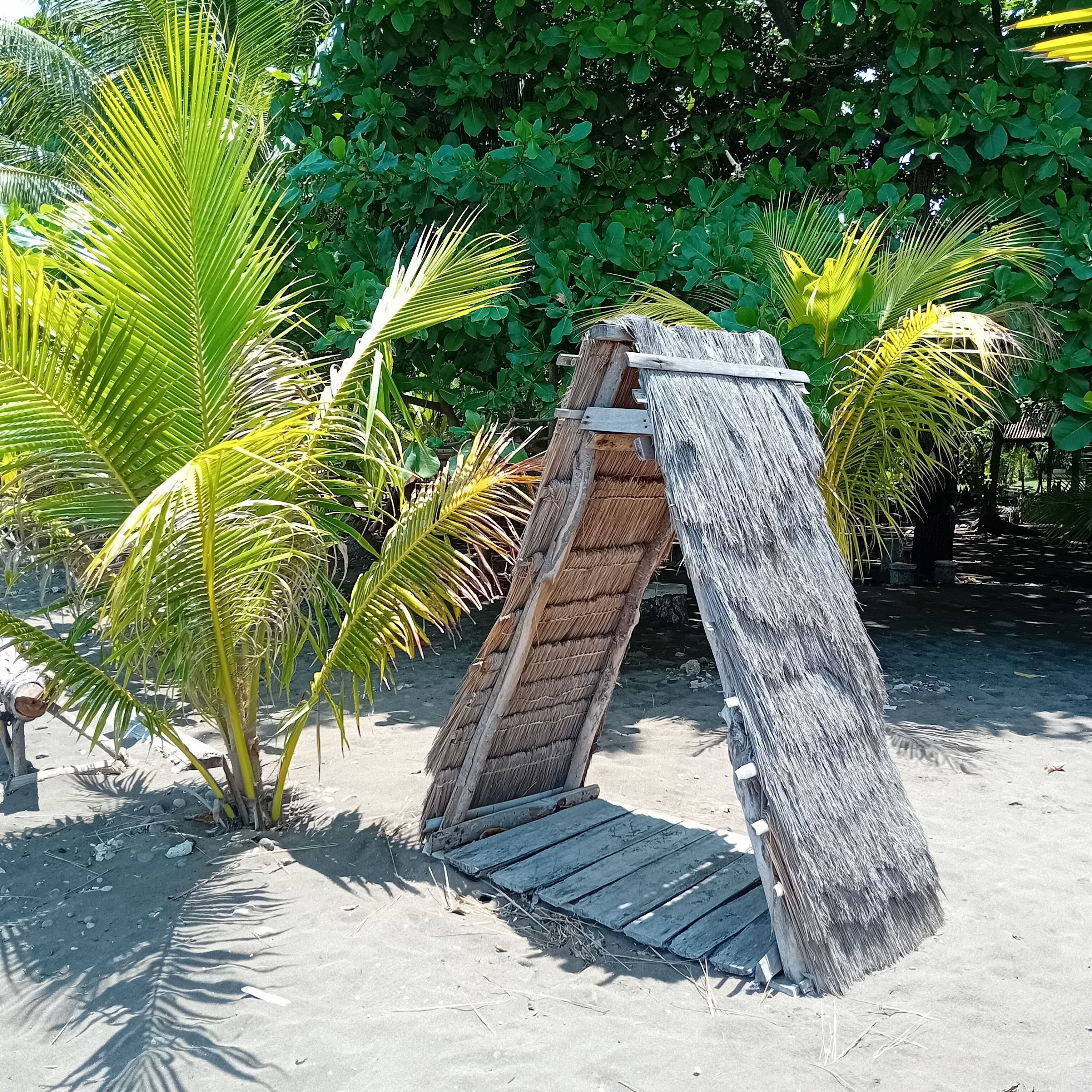 A thatched structure with a wooden ladder leading up to it, surrounded by palm trees and greenery.