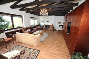 Fernseher, Kamin