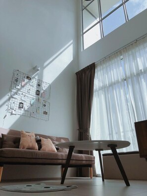 电视、DVD 播放器