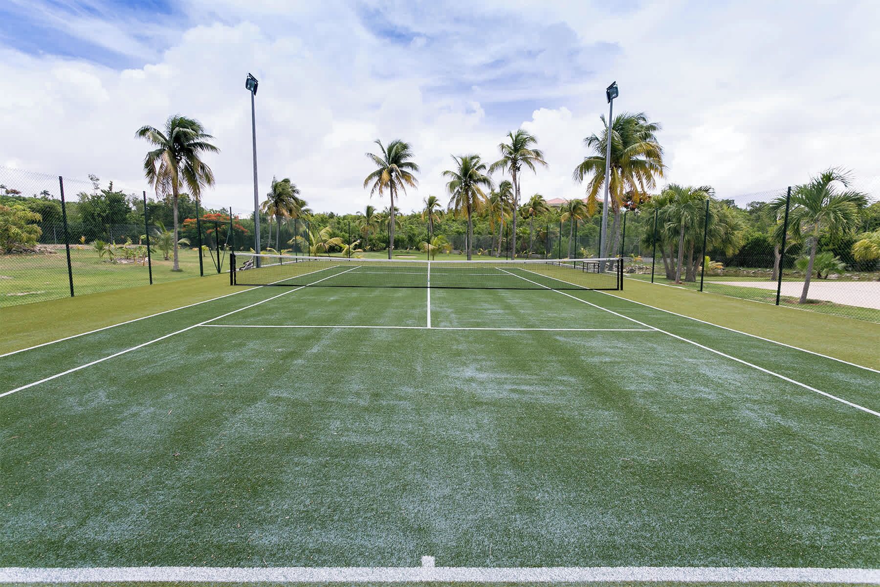 A tennis court with a net, surrounded by palm trees and a fence.