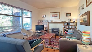 TV, fireplace, DVD player, books