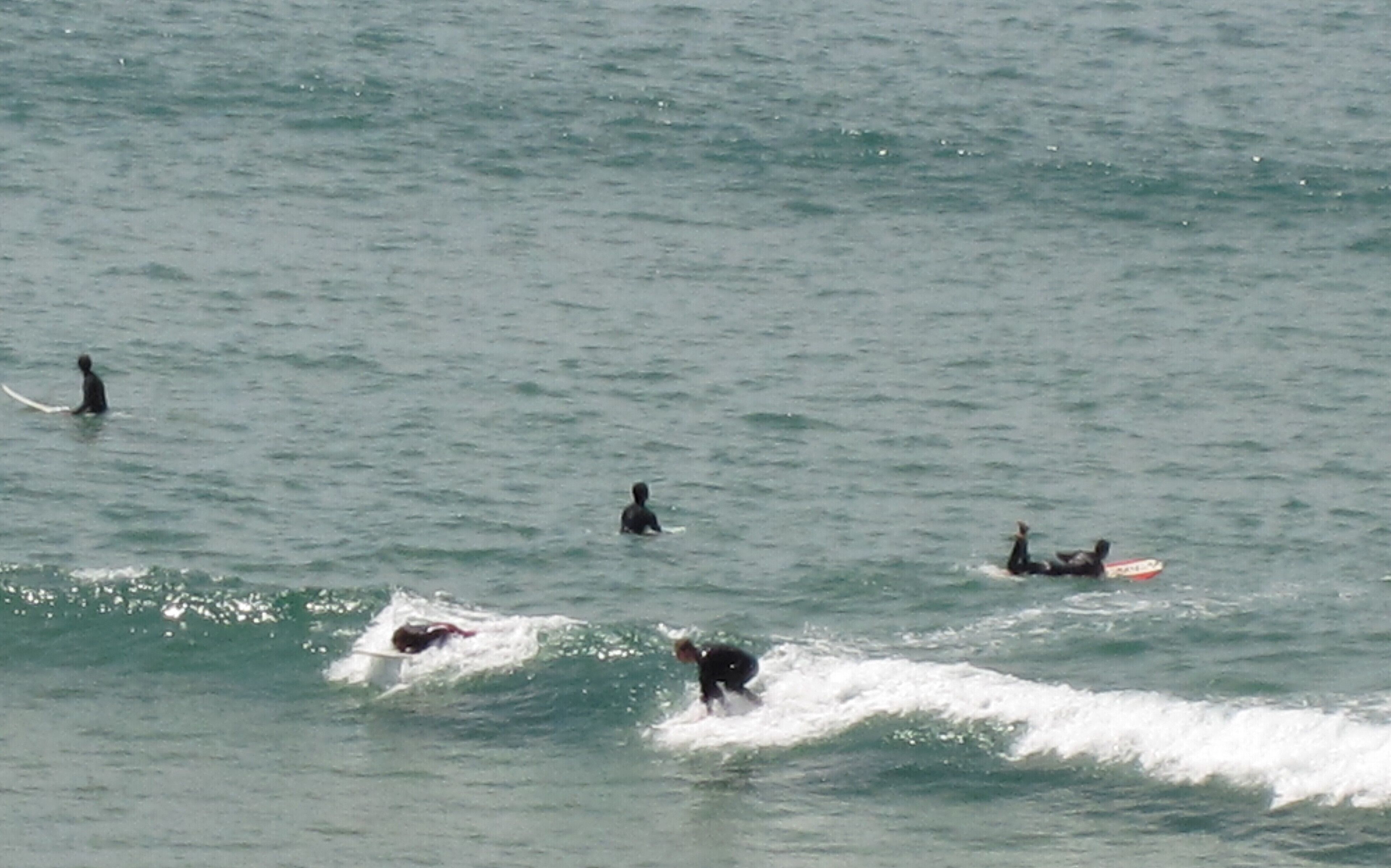 A group of surfers in the ocean.