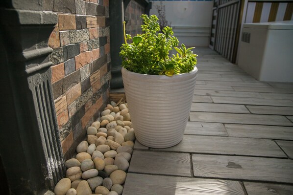 A potted plant next to a stone wall and a wooden floor. - Villa Canne Rouge 2 with new pool (Trou-aux-Biches)