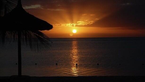 Un atardecer sobre un mar tranquilo con la silueta de una palmera.