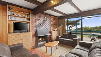 TV, fireplace, DVD player, books