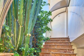 Property grounds - Villa Emanuele Costarainera: wonderful modern villa, for 16 ppl, with garden, heated pool, hot-tub (Costarainera)