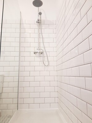 Shower, hair dryer, towels, toilet paper