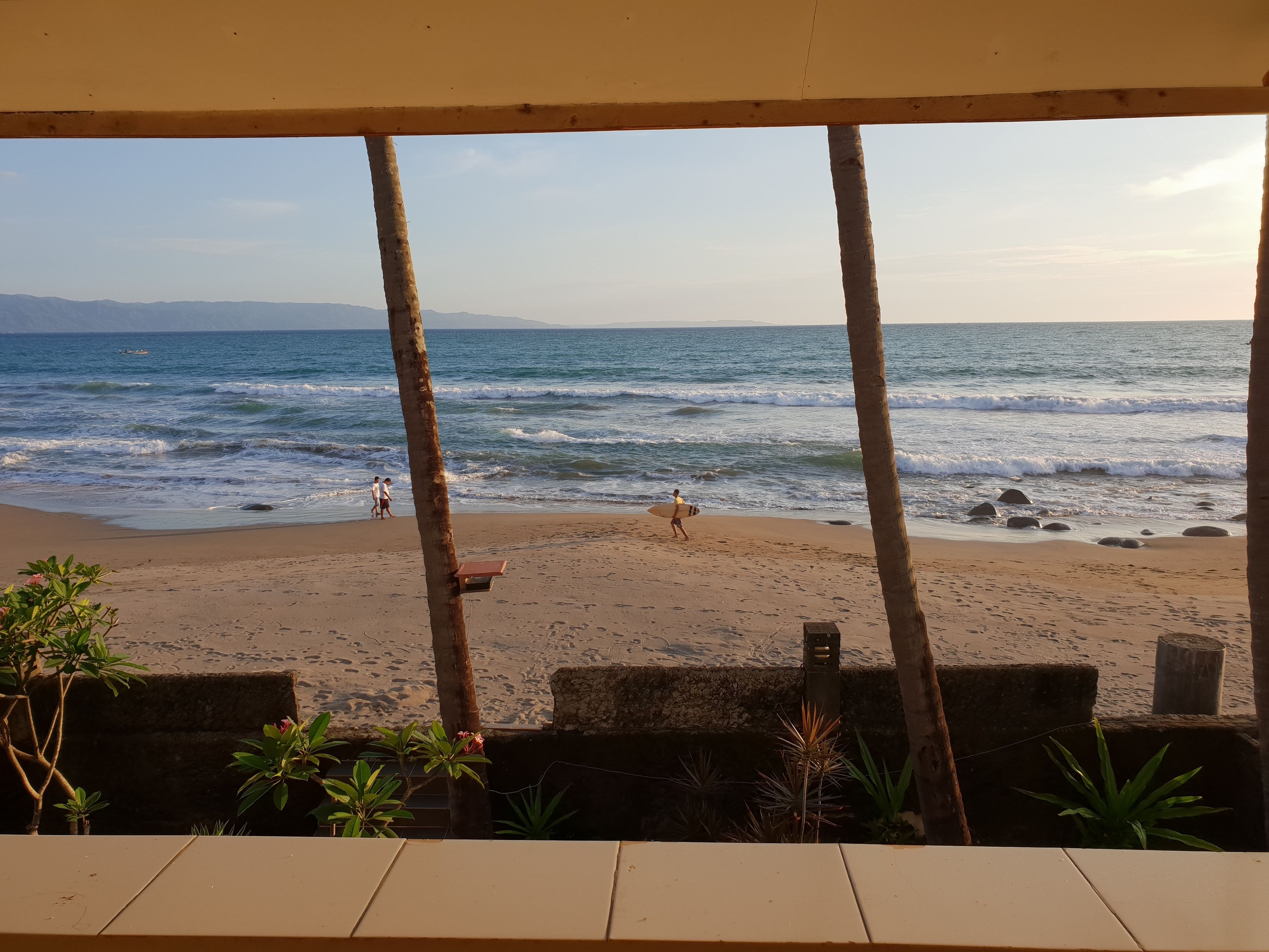 Vista da praia com palmeiras e faixa de areia.