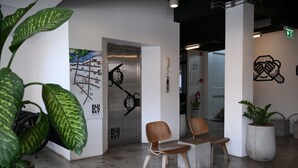 Een interieur met een betonnen vloer, een deur met een BLU MONKEY bord, twee houten stoelen en een grote potplant.